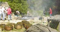 Traditional Clambake